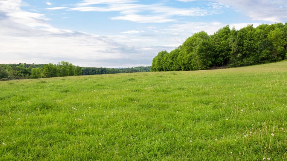 empty land in Kansas City, MO for residential buidling